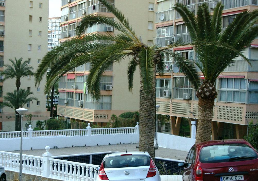 Don Miguel 1 - Arca Rent Apartment Benidorm Ngoại thất bức ảnh